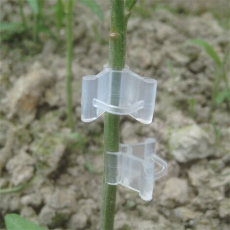 Pinzas de injerto para plantas – 100 unidades – Pinzas para vides y plantas de horticultura – PE – 2,5 cm