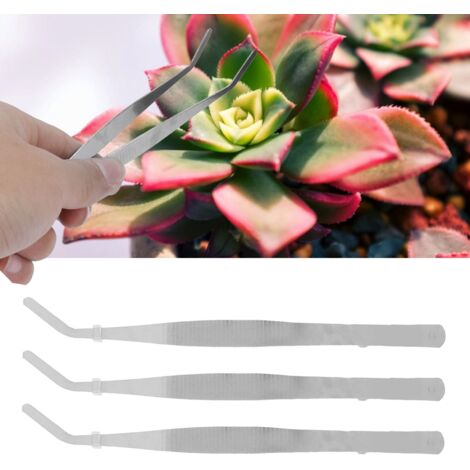Pinzas micro para paisajismo [acero inoxidable], 10 unidades, tamaño 17,5 cm, pinzas curvas para suculentas DIY