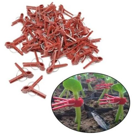 Pinzas para injertar tomates, plántulas y berenjenas (100 unidades, abertura redonda)
