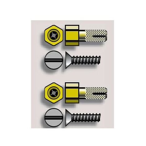 Pion fixation LT50CSI CVR somfy