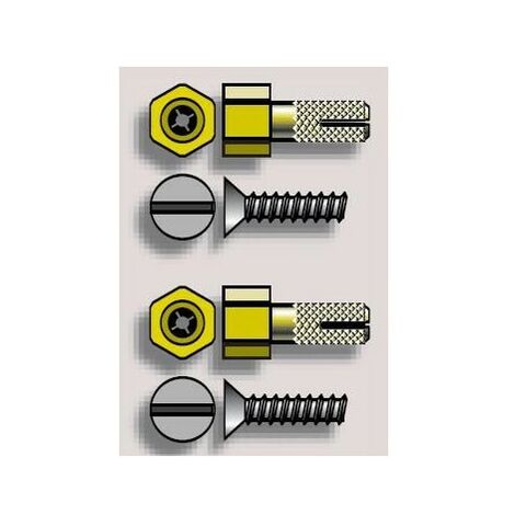 Pion fixation LT50CSI modulo somfy