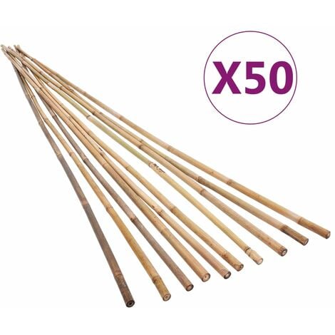 Piquets de jardin Bambou 50 pcs 120 cm