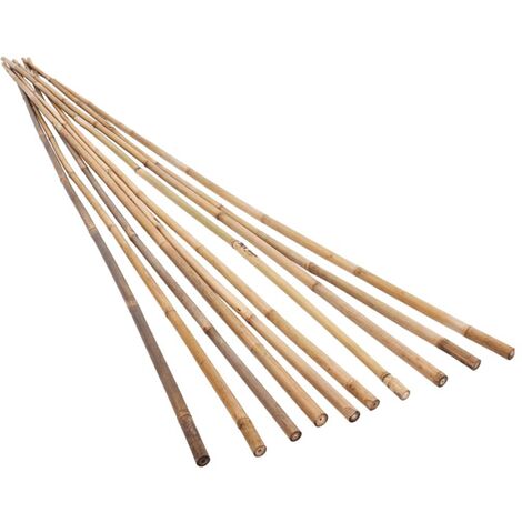 Piquets de jardin Bambou 50 pcs 150 cm