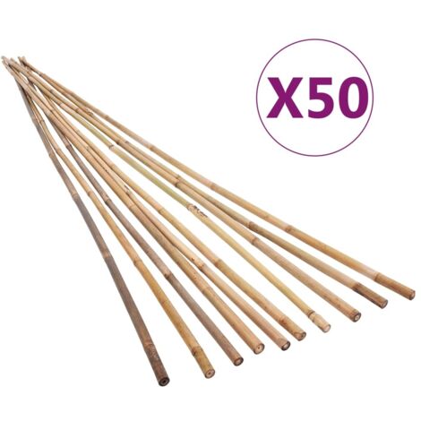 Piquets de jardin Bambou 50 pcs 170 cm