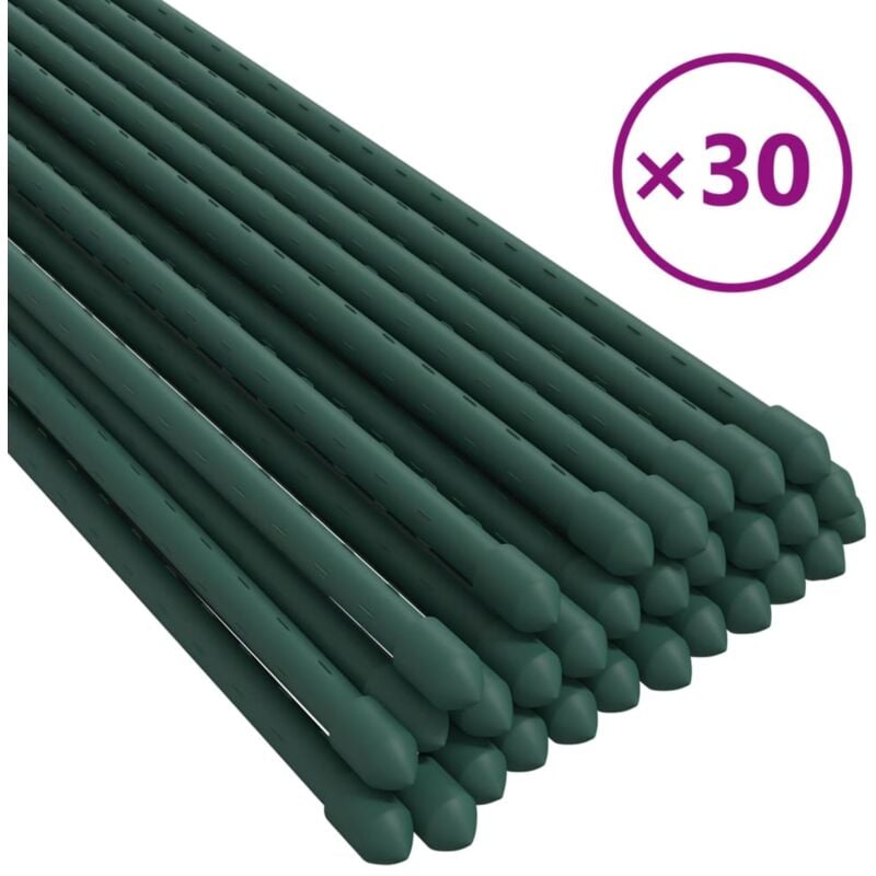 Vidaxl - Piquets pour plantes de jardin 30 pcs vert 180 cm acier