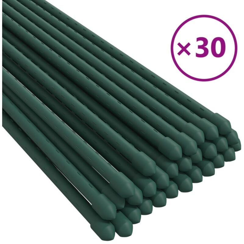 Vidaxl - Piquets pour plantes de jardin 30 pcs vert 150 cm acier