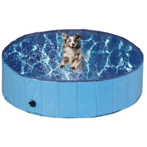 Piscina per cani blu