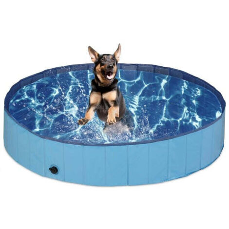 Piscina per cani blu