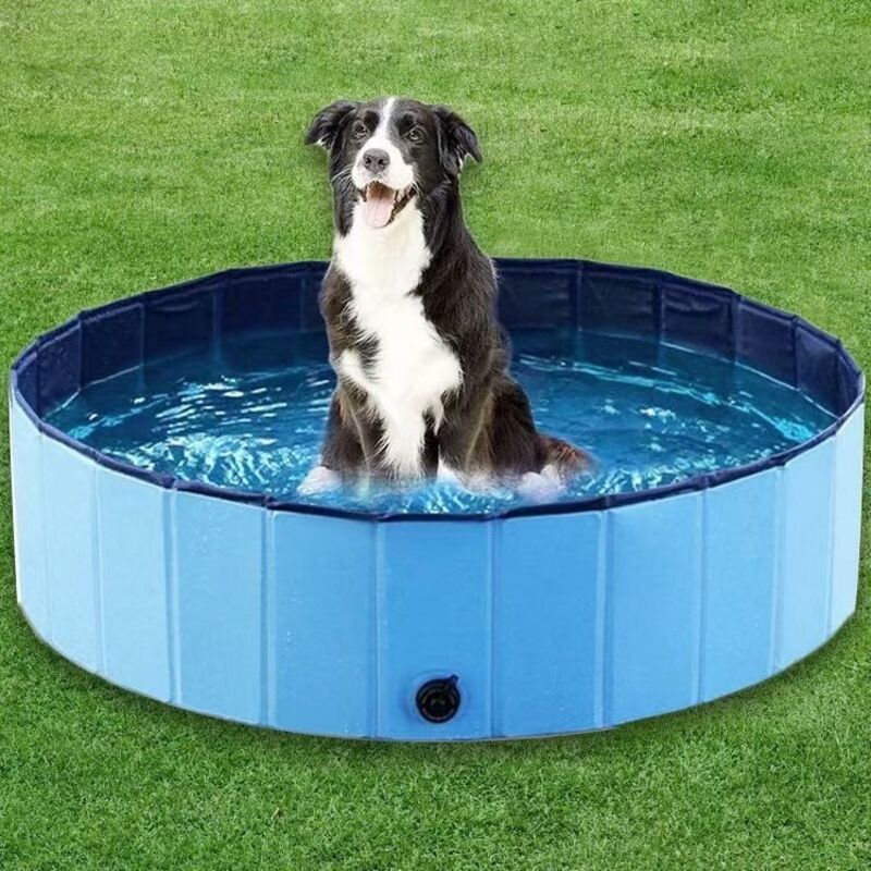 Jalleria - Piscina per cani di piccola e grande taglia, piscina pieghevole per cani, antiscivolo, 80 x 20 cm, pvc spesso, piscina per cani, piscina