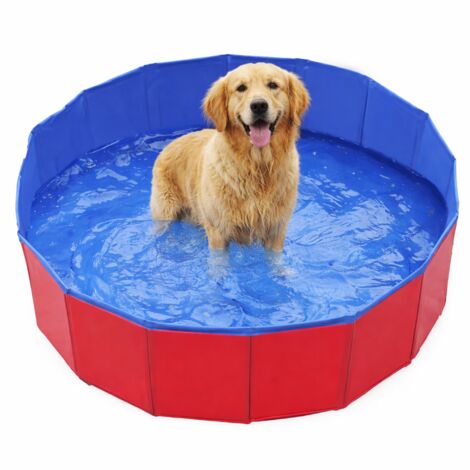 Piscina per cani e animali domestici, bagno, lavaggio, giochi, giardino, cortile