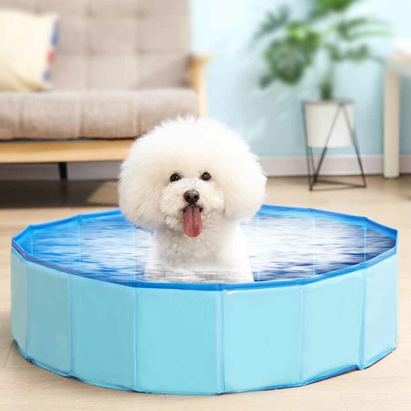 

Happyshopping - Piscina plegable para bano para mascotas, Piscina plegable para perros, Piscina para banera para mascotas,Azul, 20X60cm