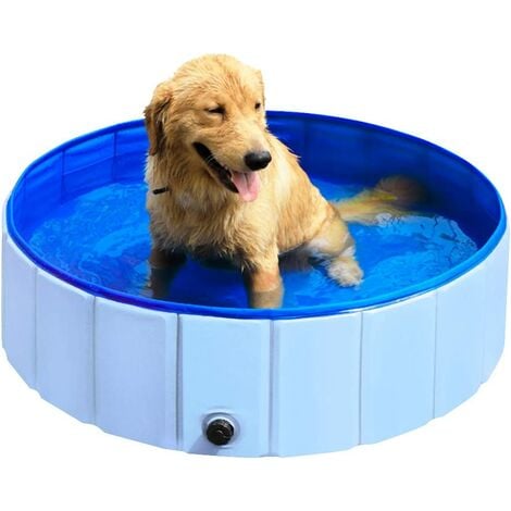 Piscine pour chiens à prix mini