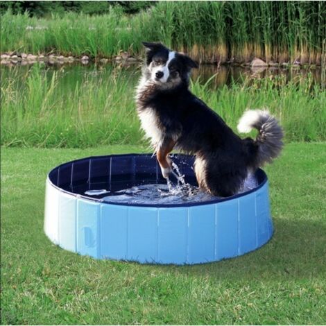 Piscine pour chien Désignation : Piscine 80 x 20 cm Trixie 39481