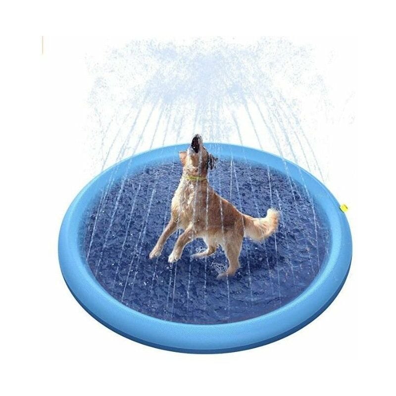 Piscine pour chiens, 150 cm