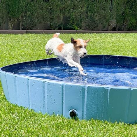 Piscine pour chiens en PVC solide – Taille L Ø160 x 30 cm – Antidérapante et facile à monter – Pour intérieur et extérieur