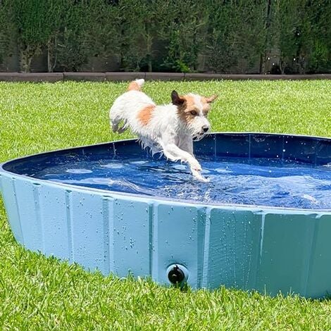 Piscine pour chiens PVC Piscine pliante pour enfants 120 cm Adhésif Piscine  Pataugeoire