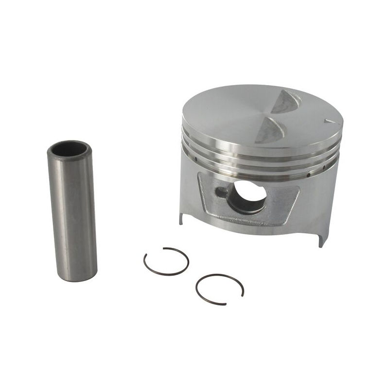 

Gea Jardin - Piston Completo HONDA 73mm