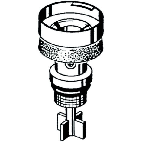 Piston MILANO complet SCHELL