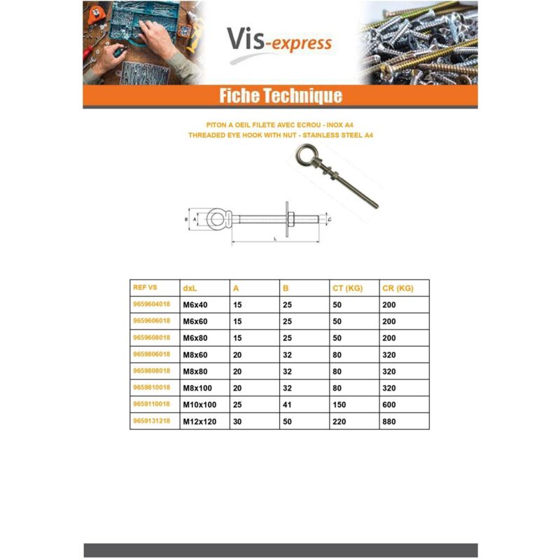 Piton à Oeil Fileté Avec Ecrou Oeil 15 Inox A4-100 pièces