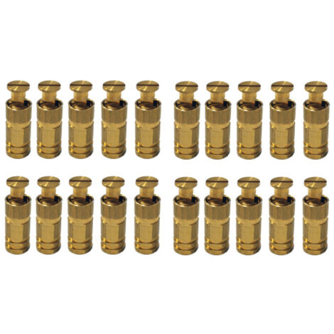 Piton Douille Escamotable - Pour fixation bâche couverture de piscine sur plage béton ou dallage - Alu/Inox - Lot de 20 pièces - POOLCO