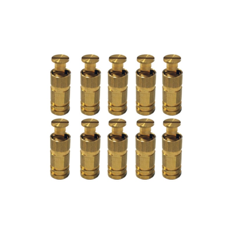 Piton Douille Escamotable - Pour fixation bâche couverture de piscine sur plage béton ou dallage - Alu/Inox - Lot de 10 pièces - POOLCO