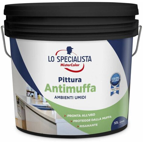 PITTURA ANTIMUFFA 10 LT.