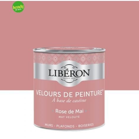 Pittura da interni Liberon 125ml Rosa di Maggio