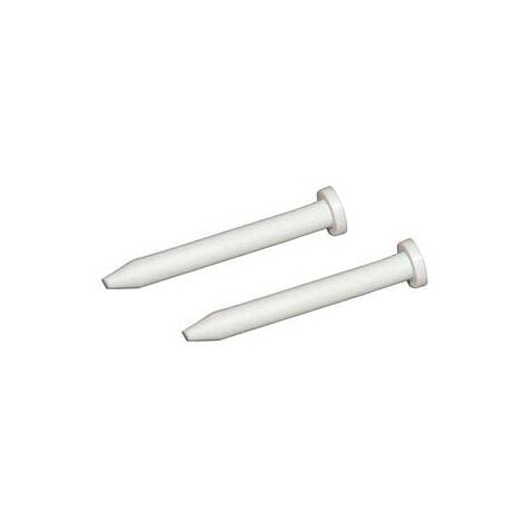 CANDY, HOOVER 2 Pivots pour Lave-linge CANDY 81453714