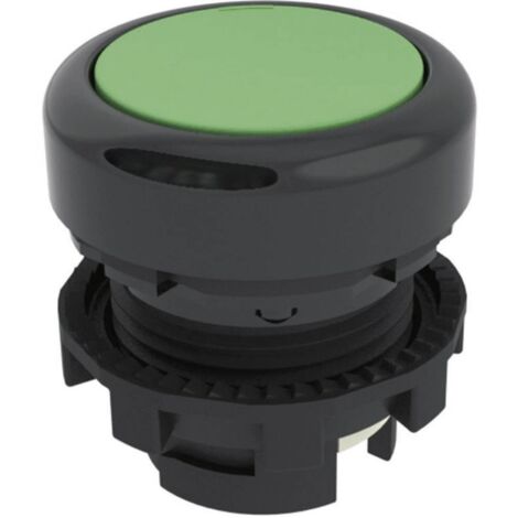 Pizzato Elettrica E21PU2R4210 E21PU2R4210 Bouton-poussoir vert 1 pc(s) D74164