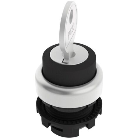 Pizzato Elettrica E21SC2DVA19AA E21SC2DVA19AA Commutateur à clé noir 1 x 90 ° 1 pc(s) D76142