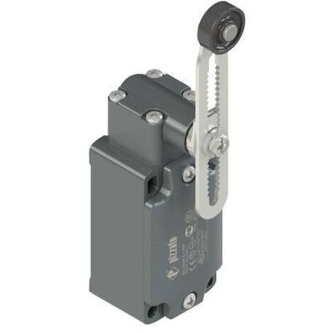 Pizzato Elettrica FD 556-M2 FD 556-M2 Fine corsa 250 V/AC 6 A Leva ruotabile Momentaneo IP67 1 pz.