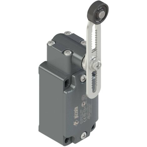 Pizzato Elettrica FD 556-M2 FD 556-M2 Interrupteur de fin de course 250 V/AC 6 A levier pivotant à galet à rappel IP67 1 pc(s) D77656