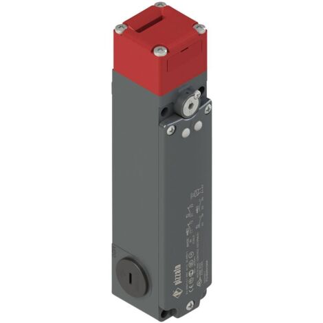 Pizzato Elettrica FG 60AD1DOZ FG 60AD1DOZ Interrupteur de sécurité 250 V/AC 5 A actionneur séparé à rappel IP67 1 pc(s)