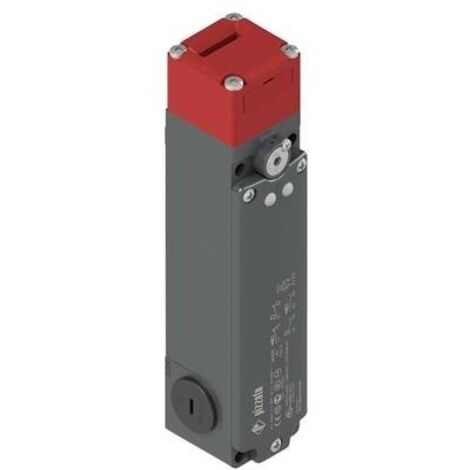 Pizzato Elettrica FG 60AD1DOZ FG 60AD1DOZ Interruttore di sicurezza 250 V/AC 5 A attuatore separato Momentaneo IP67 1 p