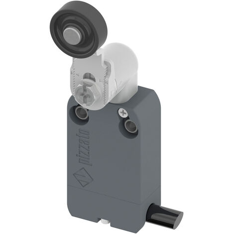 Pizzato Elettrica NF B112KG-DN2 NF B112KG-DN2 Endschalter 250 V/AC 4 A Rollenschwenkhebel tastend IP