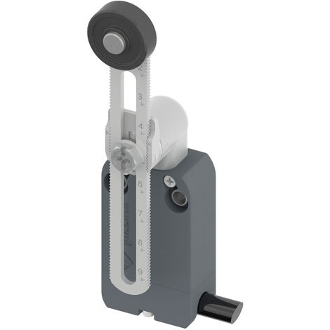 Pizzato Elettrica NF B112KP-DN2 NF B112KP-DN2 Endschalter 250 V/AC 4 A Rollenschwenkhebel tastend IP
