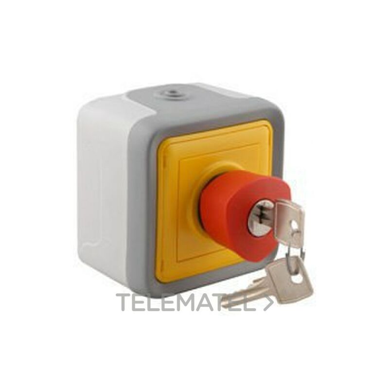 

PL-MBL SUP PULS EMERG 3A LLAV 069728 - Legrand