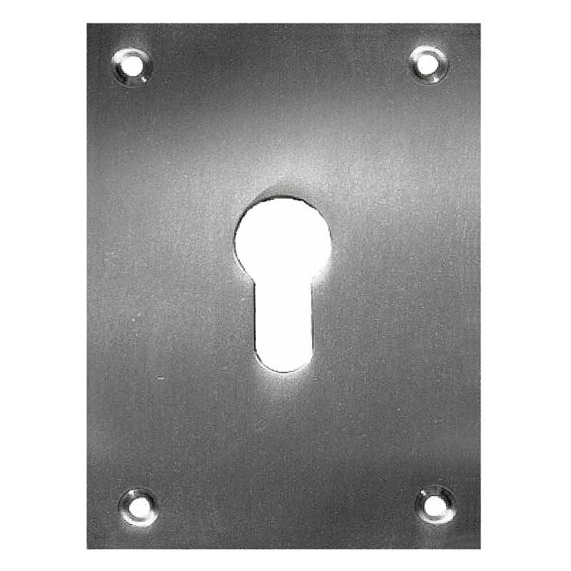 

Placa Bocallave 2 Un.80X80Mm Niq.Satin.