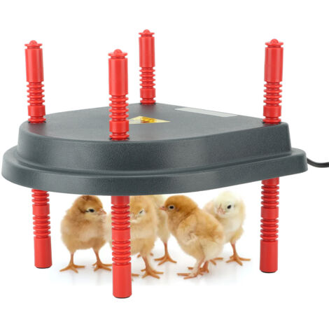 Placa calefactora de 13 W para pollitos y patitos con control de temperatura, tira de resorte y soporte (110 V EE. UU.)