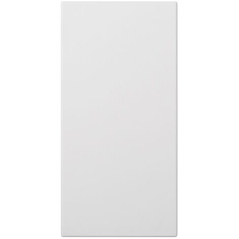 Placa ciega doble blanco SIMON 50000800-030