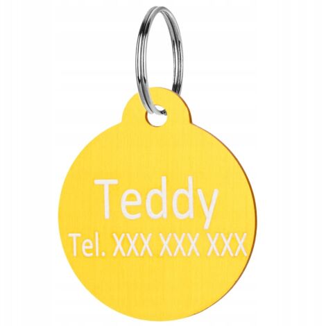 Placa con nombre para perro y gato, colgante grabado para perro y gato, llavero dorado