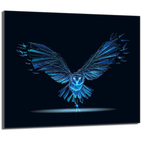 Placa de protección de estufa de vidrio 60x52 Pájaro