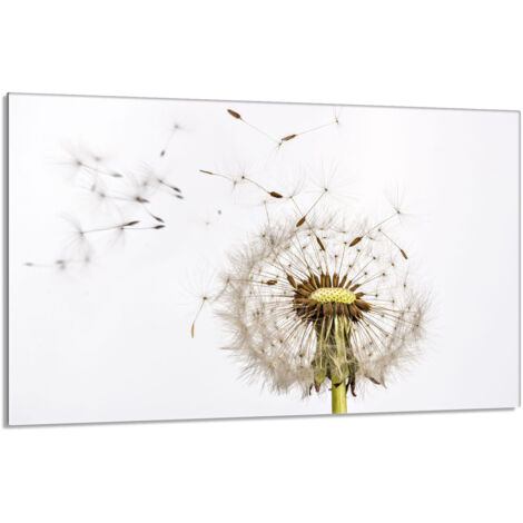 Placa de protección de estufa de vidrio 80x52 Flor