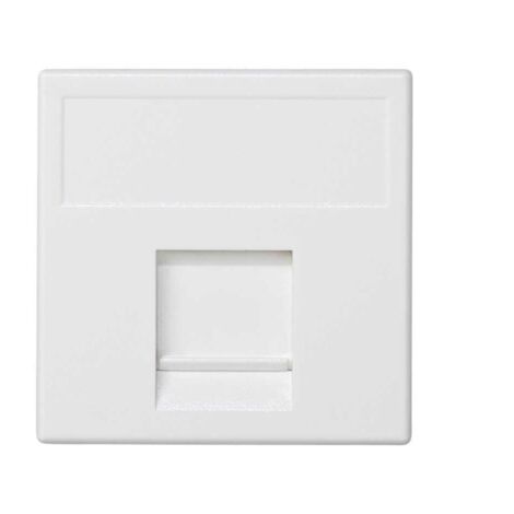 Placa K45 V-D guardapolvo con 1 conector AMP/KRONE blanco SIMON K76/9