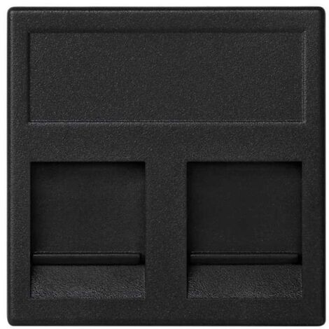 Placa K45 V-D guardapolvo con 2 conectores AMP/KRONE gris SIMON KB76/14