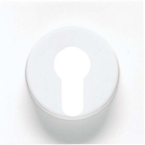 Placa para llave blanco alpino - JUNG