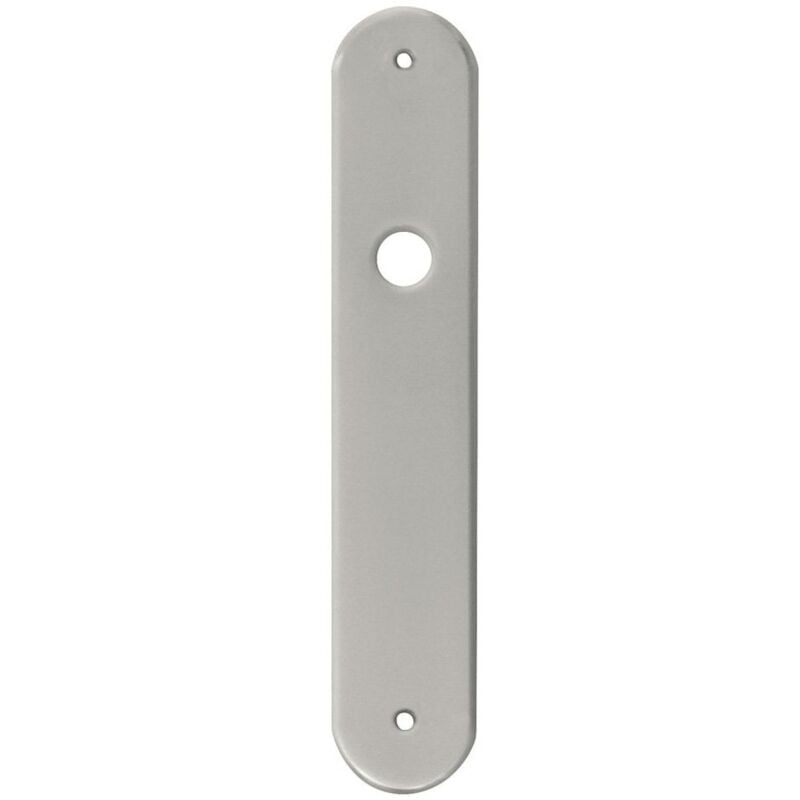 

Placa Para Maneta Inox Art 245X45Mm - Inox Mate