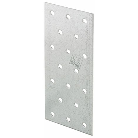 Placa Perforada SXNP1 40x120x1,5 - Spax SXNP - Placas de uni�n perforadas