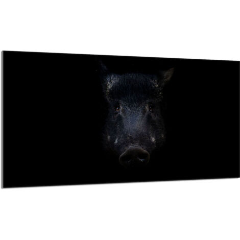Placa protectora de cristal para estufa 90x52 Jabalí
