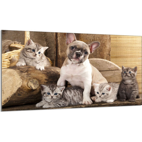 Placa protectora de cristal para estufa 90x52 Perro